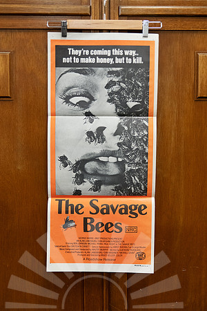 Original 1976 Australian daybill poster for “The Savage Bees,” an eco-horror about deadly killer bees.
