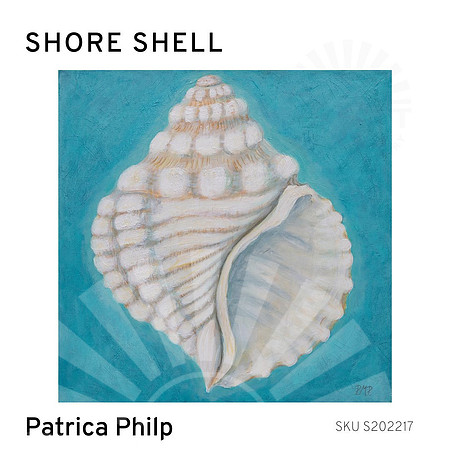 Shore Shell art print for sale