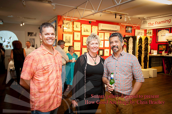 Sunset Framing & Gallery in 2014
