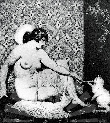 Norman Lindsay - Cats