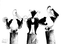 Winging it by Colleen Palmer