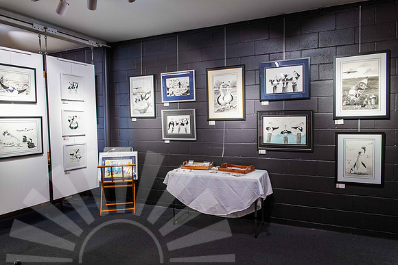 Winging it by Colleen Palmer