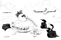 Winging it by Colleen Palmer