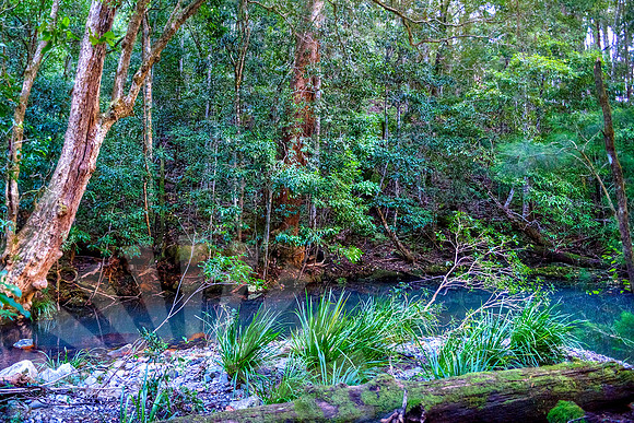 2099_ Hastings Hinterland Photos For Sale