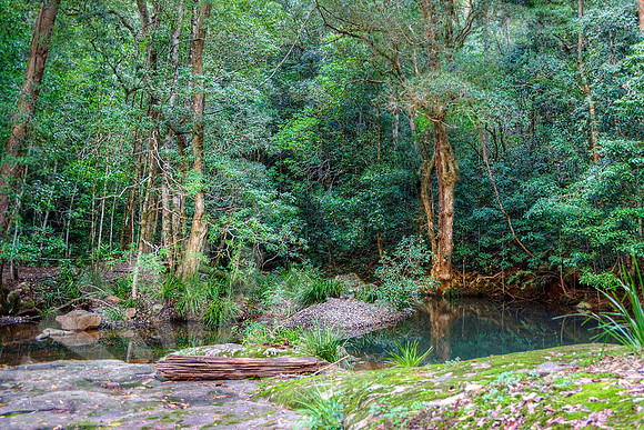 2090_ Hastings Hinterland Photos For Sale