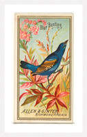 Picture Framing Inspiration Gallery