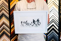 Monochrome chicken and rooster artwork professionally custom framed with layered white matboards and a contemporary white picture frame in Port Macquarie.