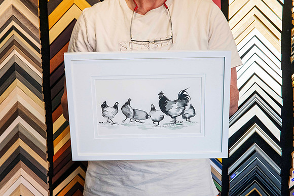 Monochrome chicken and rooster artwork professionally custom framed with layered white matboards and a contemporary white picture frame in Port Macquarie.