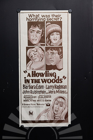 Original 1971 Australian Daybill movie poster for A Howling in the Woods featuring illustrated portraits of Barbara Eden, Larry Hagman, John Rubinstein and Vera Miles.