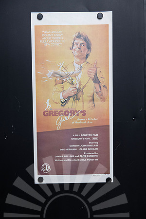 Original 1981 Australian Daybill movie poster for Gregory's Girl directed by Bill Forsyth, featuring illustrated John Gordon Sinclair holding flowers against distinctive peach and burgundy artwork.