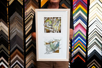 Two Australian bird art prints framed together with individual white mat openings and a light natural timber frame in Port Macquarie.