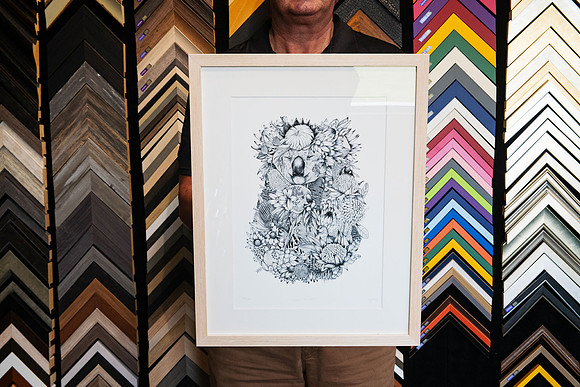 Detailed black and white koala and Australian native flora art print framed with white matting and a light natural timber frame in Port Macquarie.