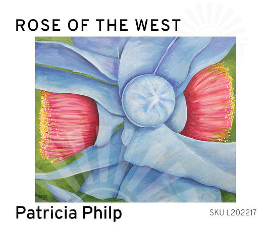 Rose Of The West by Patricia Philp, art prints Port Macquarie