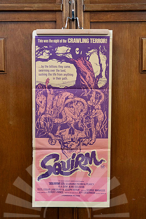 Squirm - Daybill - Original Vintage Movie Poster