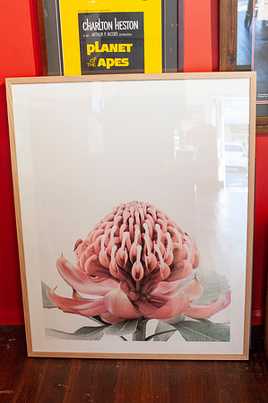 Professional Picture Framing & Canvas Prints, Central Road,  Port Macquarie