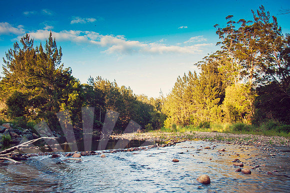 3210 Hastings Hinterland Photos For Sale