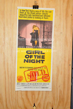 Girl of the Night