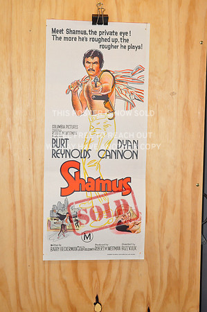Shamus - Daybill
