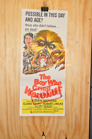 The Boy Who Cried Wolf - Daybill Original Movie Poster