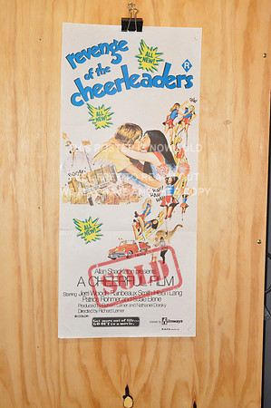 Revenge Of The Cheerleaders - Daybill Original Movie Poster