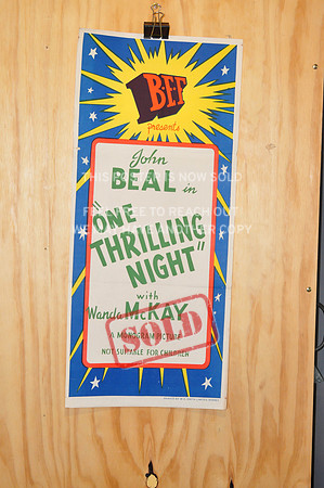 One Thrilling Night