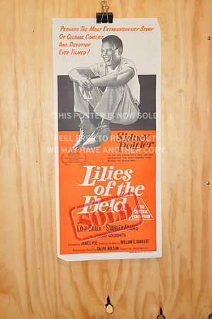 Lilies of the Field (1963)