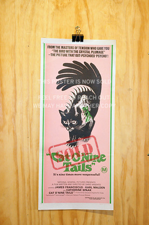 Cat O'Nine Tails