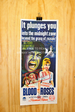 Blood Roses