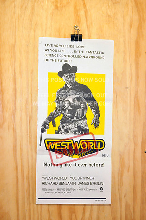 West World