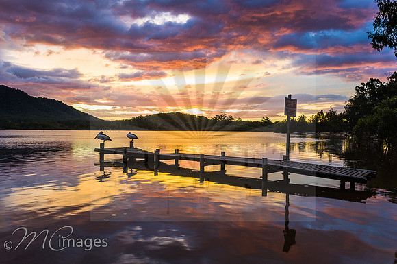 Matt Cramer photography Image 10