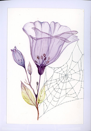 Drawn From here page by - Anita Targett,