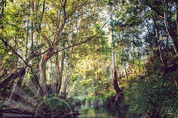 2430 Hastings Hinterland Photos For Sale