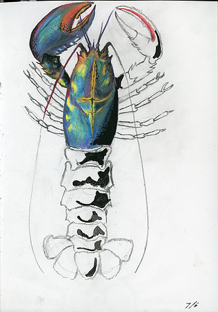 Drawn From here page by - Lana Cooper146