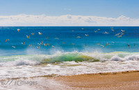 Matt Cramer photography Image 7